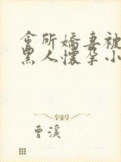 会所娇妻被多个黑人怀孕小说封面