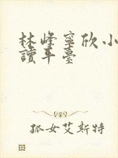 林峰宁欣小说阅读平台封面