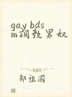 gay bdsm调教男奴