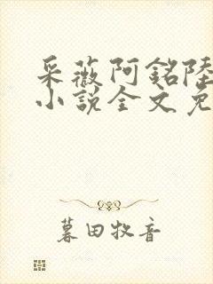 采薇阿铭陆三平小说全文免费阅读