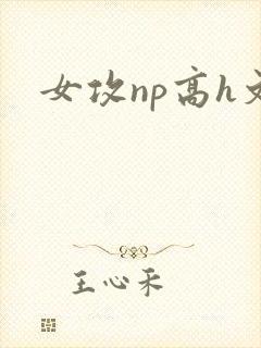 女攻np高h文