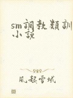 sm调教类训诫小说