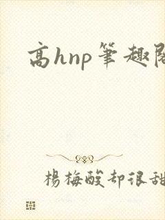 高hnp笔趣阁