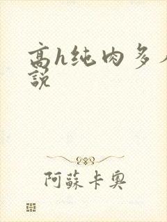 高h纯肉多人小说