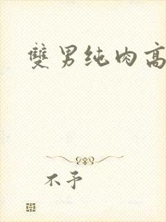 双男纯肉高h文