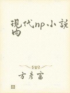 现代np小说h肉
