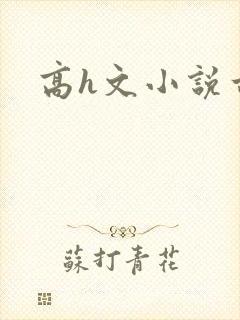 高h文小说古言