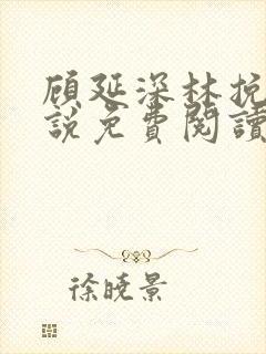 顾延深林挽音小说免费阅读最新章节封面