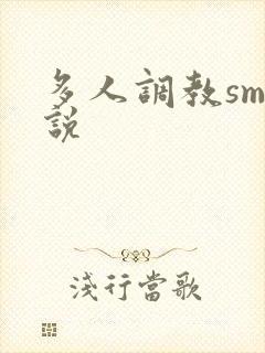 多人调教sm小说