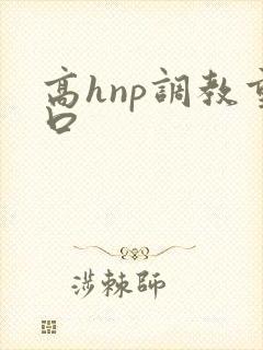 高hnp调教重口