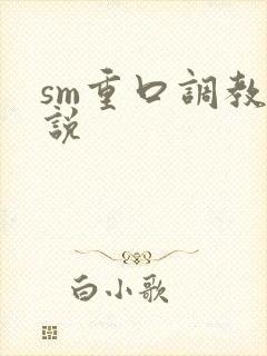 sm重口调教小说