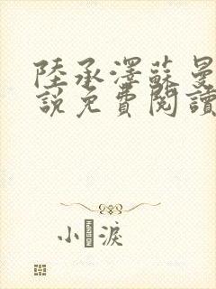 陆承泽苏曼柔小说免费阅读最新章节