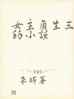 女主角生三胞胎的小说