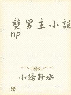 双男主小说高hnp封面