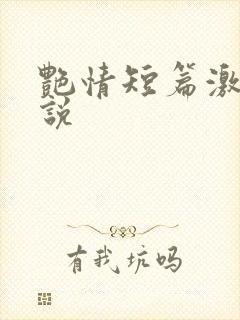 艳情短篇激情小说封面