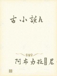 古小说h