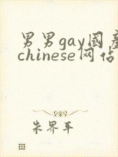 男男gay国产chinese网站
