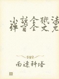 小说全职法师无弹窗全文免费阅读