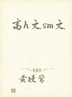 高h文sm文