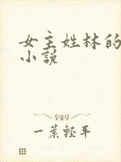 女主姓林的穿越小说封面