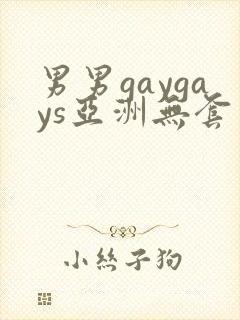 男男gaygays亚洲无套