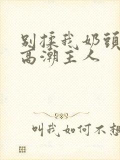 别揉我奶头嗯啊高潮主人封面