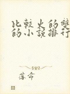 比较火的双男主的小说排行榜封面