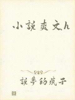 小说爽文h