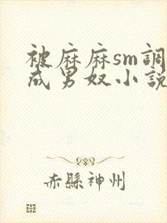 被麻麻sm调教成男奴小说