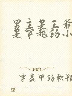 男主是王爷女主是穿越的小说