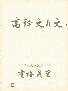 高干文h文小说封面