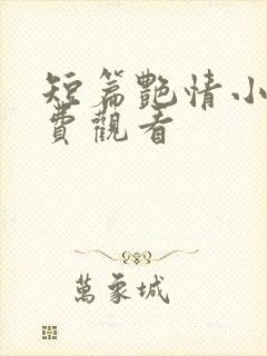 短篇艳情小说免费观看封面