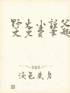 野火小说父女全文免费笔趣阁