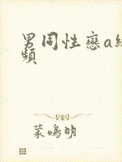 男同性恋a级视频封面