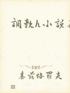 调教h小说在线封面