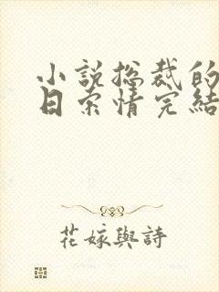 小说总裁的33日索情完结