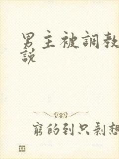 男主被调教的小说