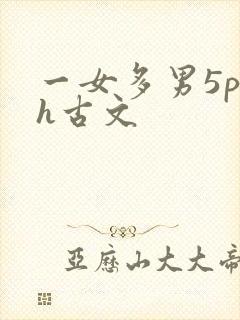 一女多男5p高h古文封面