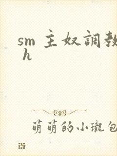 sm 主奴调教 h