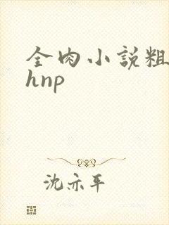 全肉小说粗暴高hnp