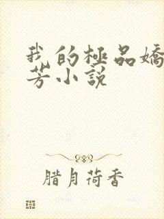 我的极品娇妻慧芳小说