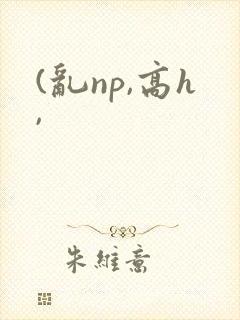 (乱np,高h,