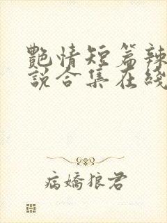 艳情短篇辣文小说合集在线阅读