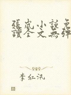 张岚小说免费阅读全文无弹窗