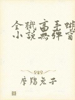 全职高手蝴蝶蓝小说无弹窗免费阅读封面