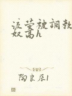 流萤被调教成肉奴高h