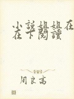 小说姐姐在上我在下阅读