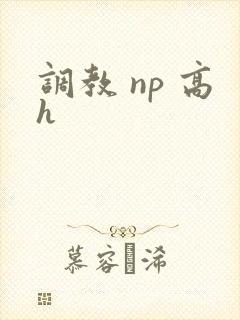 调教 np 高h封面