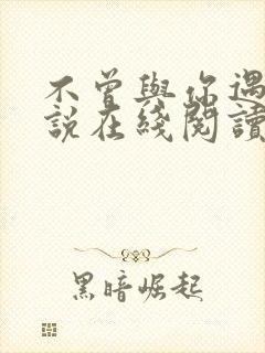 不曾与你遇见小说在线阅读