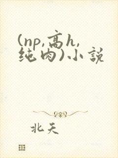 (np,高h,纯肉)小说